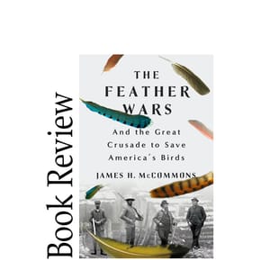 Image of: The Feather Wars BOOK REVIEW