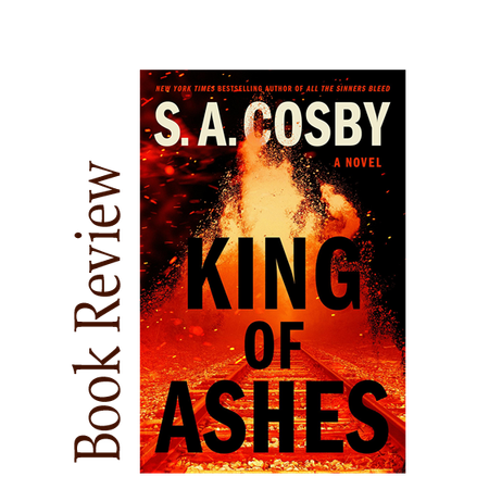 Image of: King of Ashes BOOK REVIEW