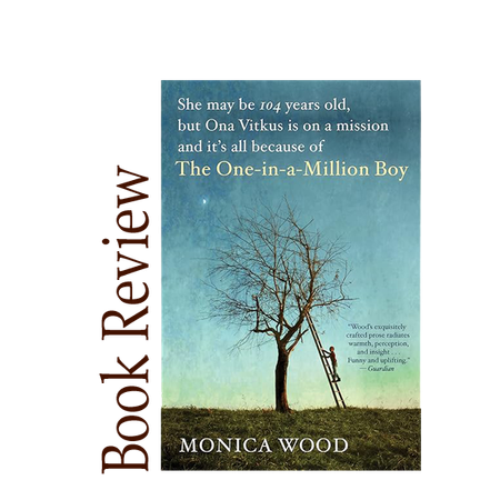 Image of: The One-in-a-Million Boy BOOK REVIEW